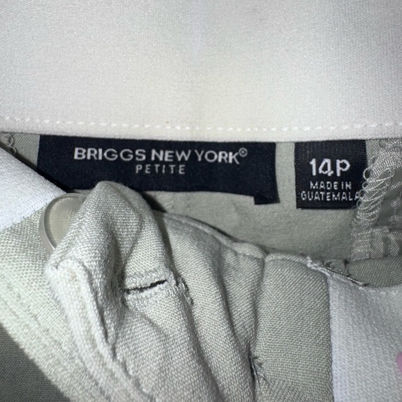 Briggs New York Petite Light Sage Pants - Picture 3 of 4